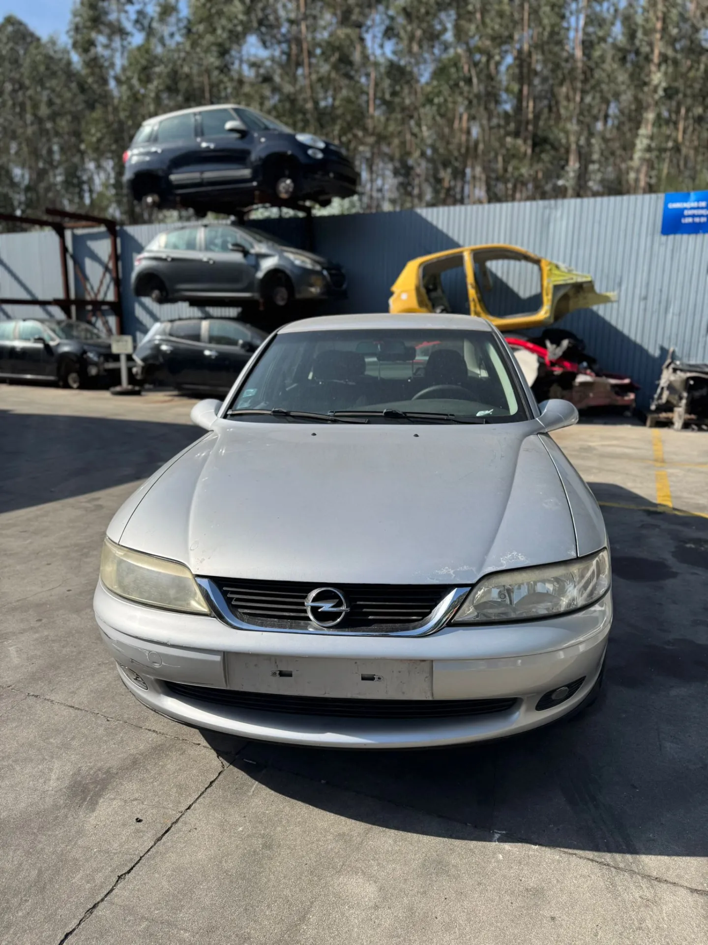 Vectra B Hatchback  OPEL Vectra B Hatchback (38_)